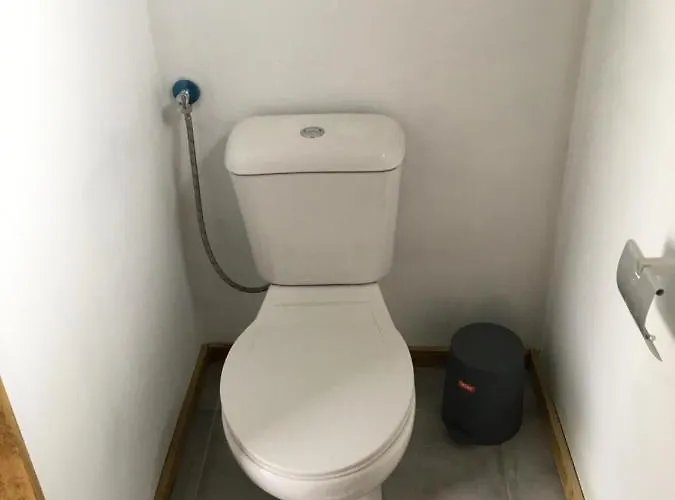 Glamping Nas Arvores *